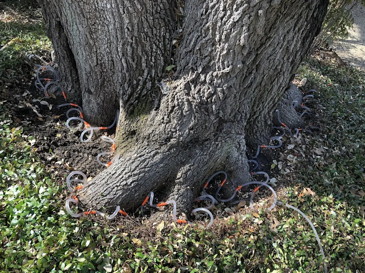 Detailed Shrub and Hedge Trimming job site in Hordville