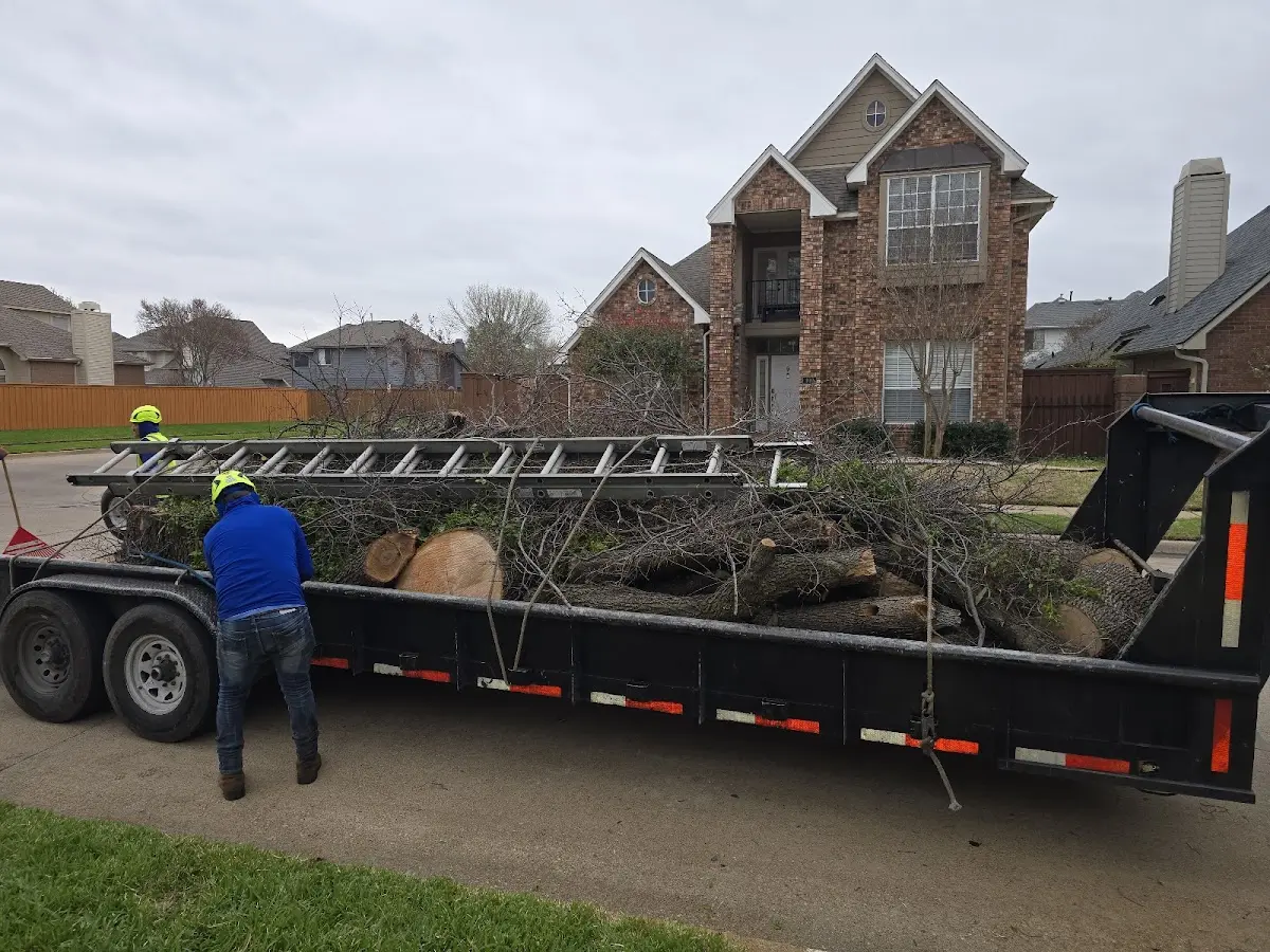 Expert Tree Pest Control with proper safety equipment in Hordville